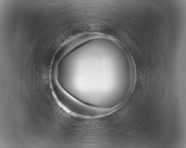 X0000080700818200612150834