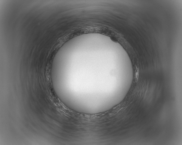 X0000080700819200612150834