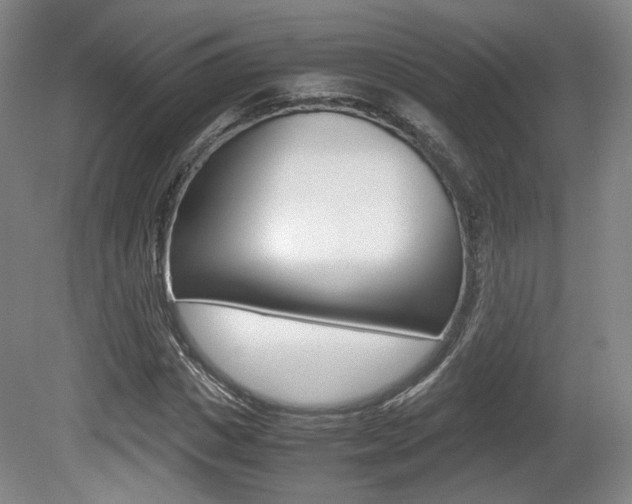 X0000080700825200612150834