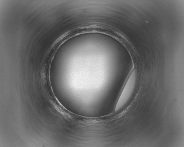X0000080700826200612150834