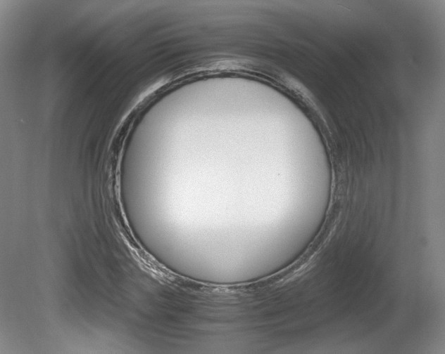 X0000080700827200612150834