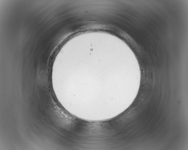 X0000080700828200612150834