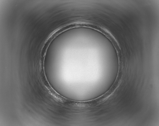 X0000080700829200612150834