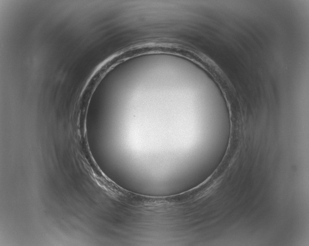 X0000080700830200612150834