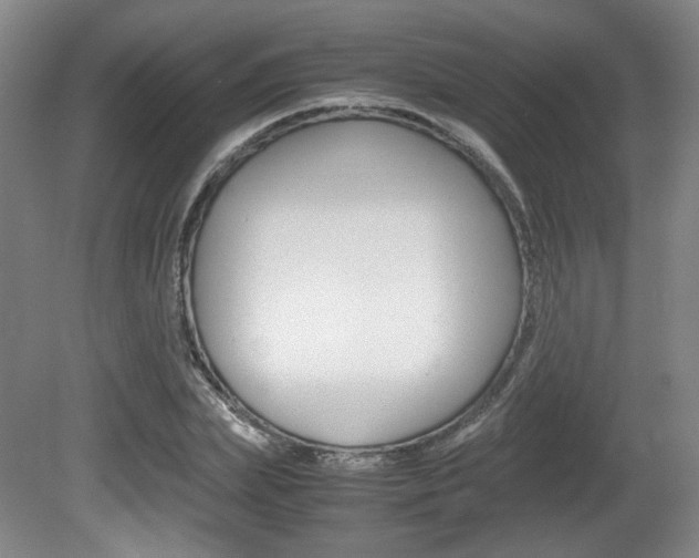 X0000080700831200612150834