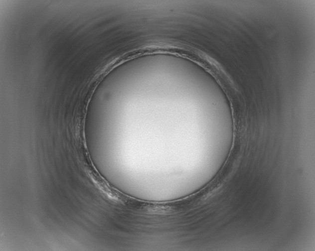 X0000080700833200612150834