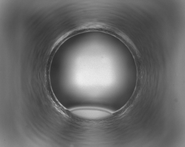 X0000080700834200612150834