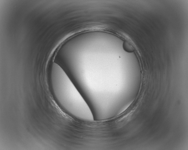 X0000080700835200612150834