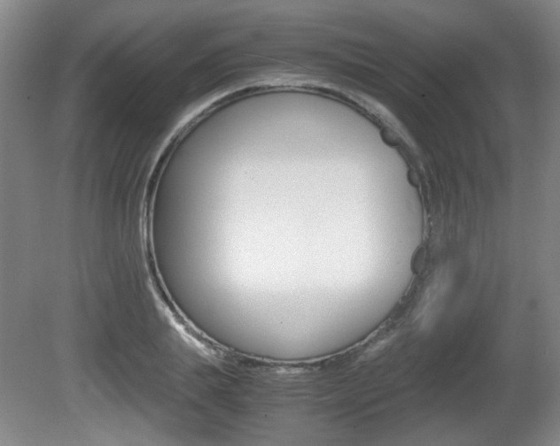 X0000080700839200612150834