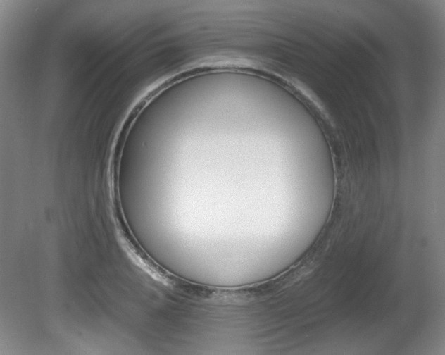 X0000080700840200612150834