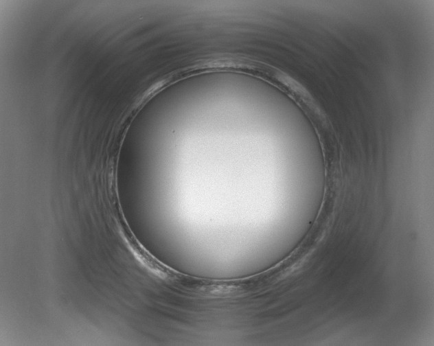 X0000080700841200612150834