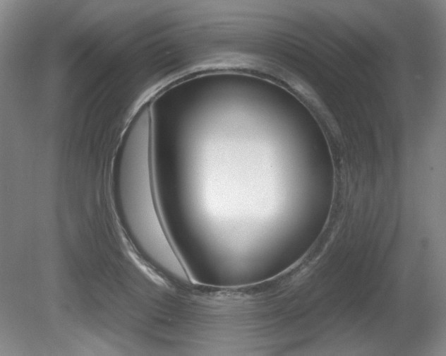 X0000080700842200612150834