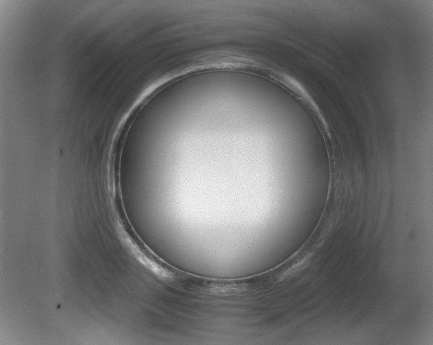 X0000080700843200612150834