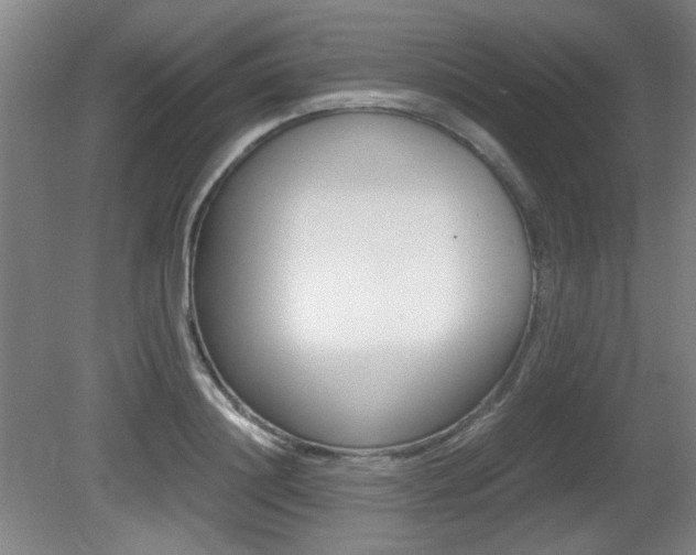 X0000080700844200612150835