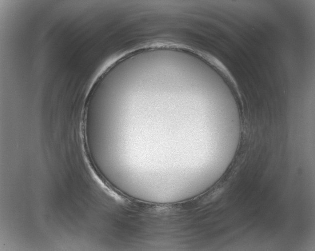 X0000080700847200612150835