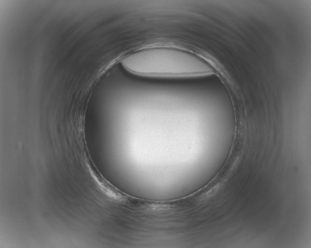 X0000080700849200612150835