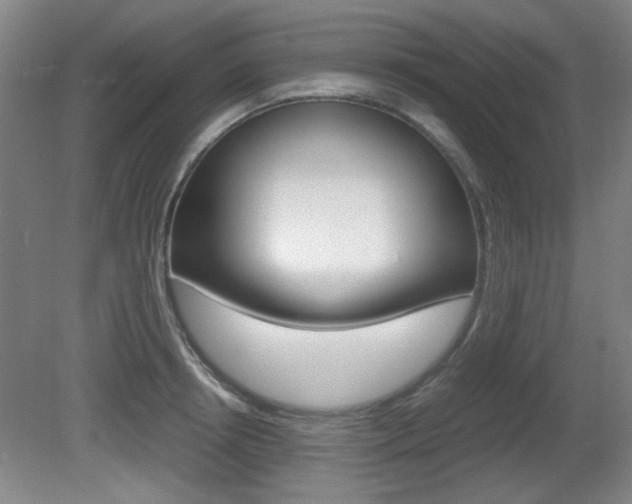 X0000080700850200612150835
