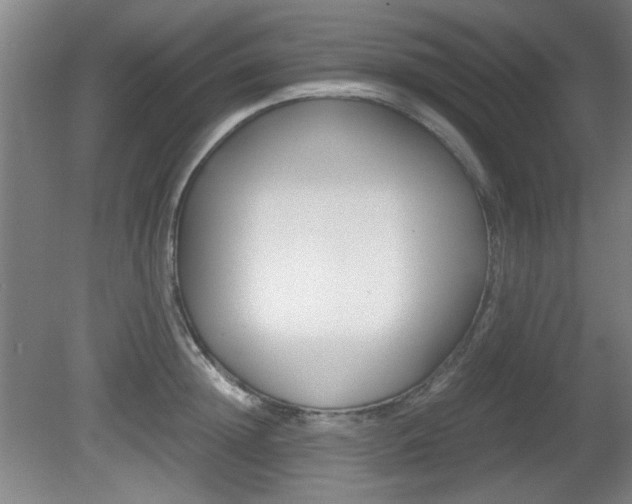 X0000080700852200612150835
