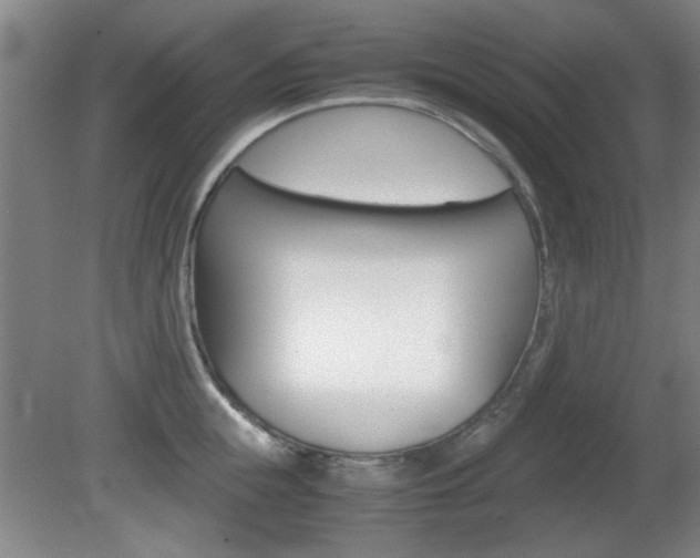 X0000080700855200612150835