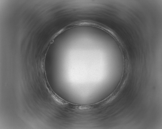 X0000080700857200612150835