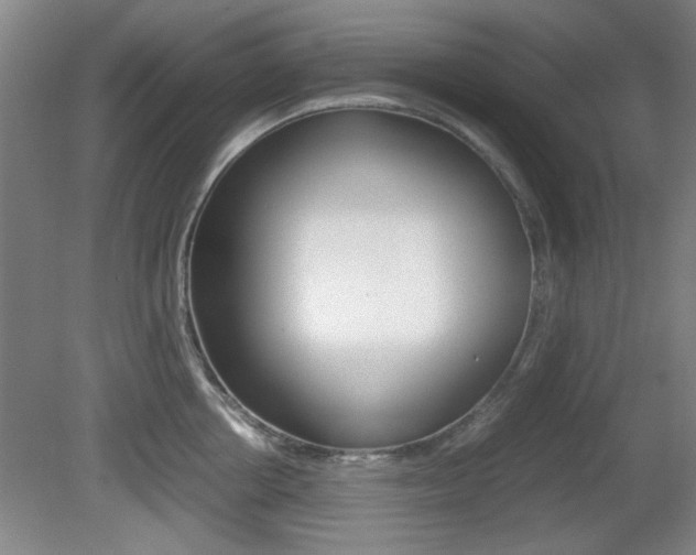 X0000080700858200612150835
