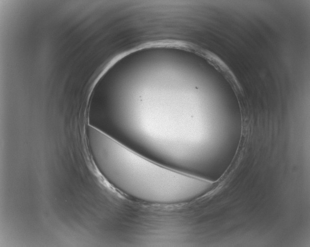 X0000080700860200612150835