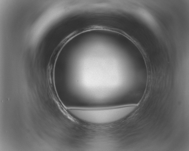X0000080700862200612150835