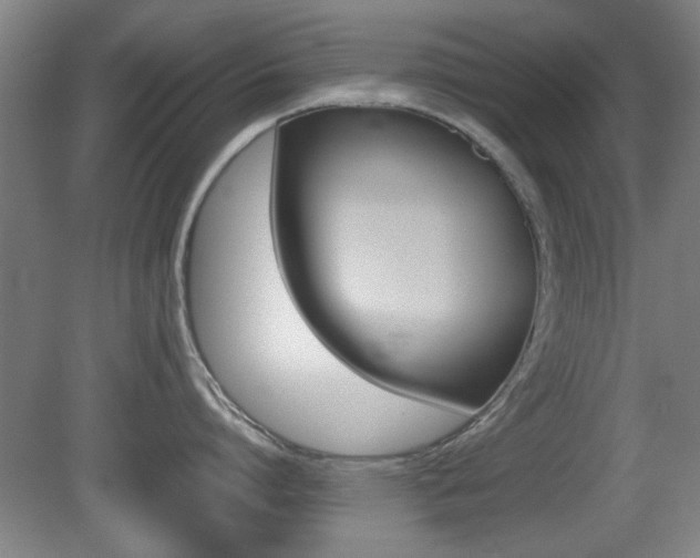 X0000080700864200612150835