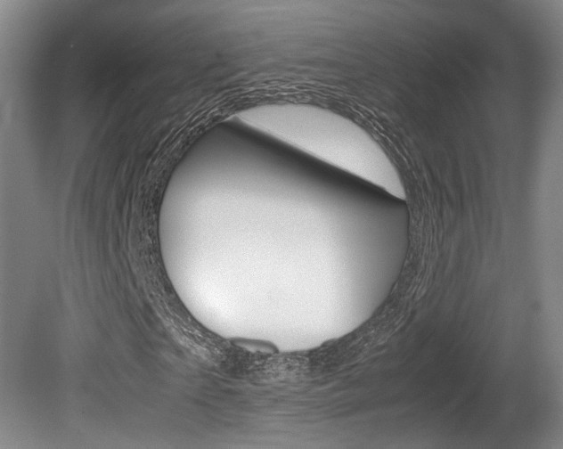 X0000080700865200612150834
