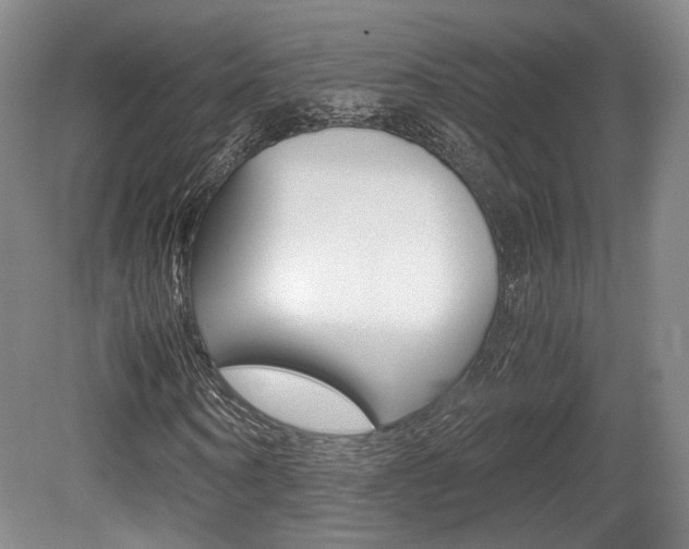 X0000080700866200612150834