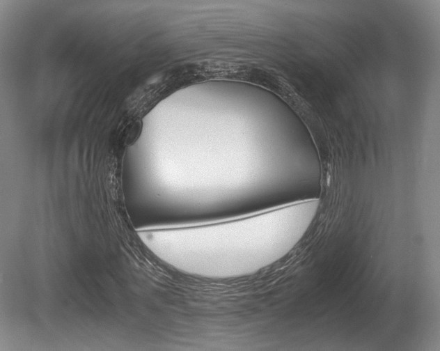 X0000080700867200612150834