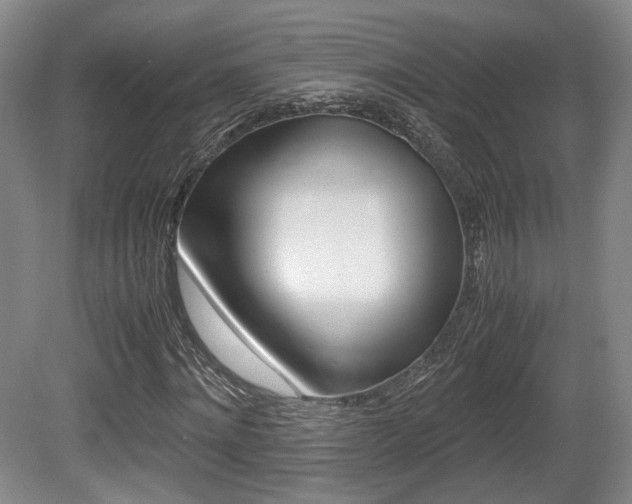 X0000080700868200612150834