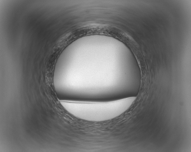 X0000080700869200612150834