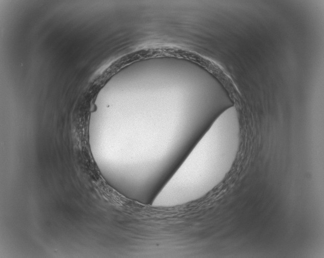 X0000080700871200612150834