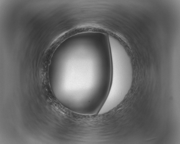 X0000080700872200612150834