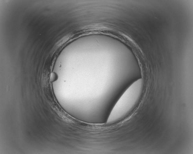 X0000080700873200612150834