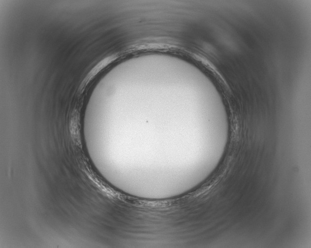 X0000080700874200612150834