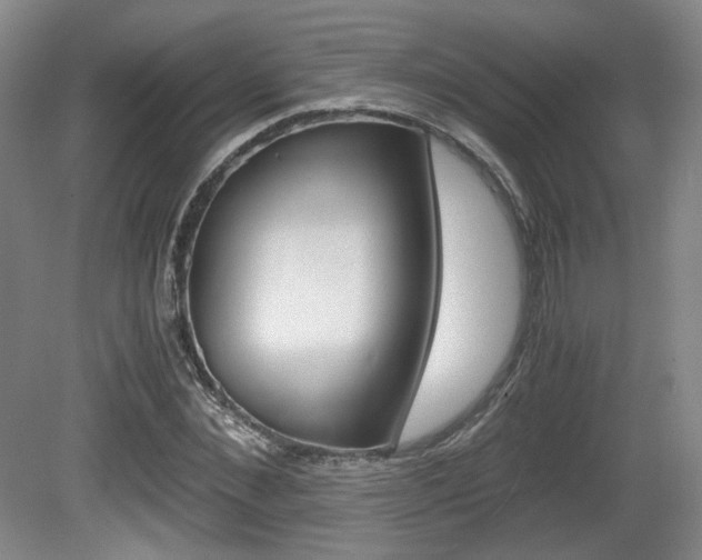 X0000080700876200612150834