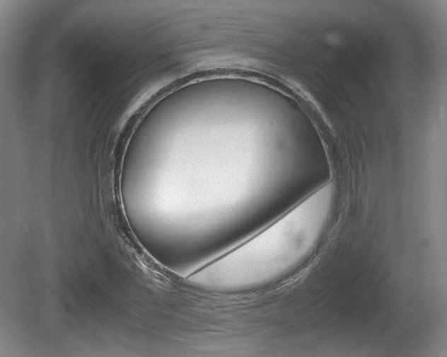 X0000080700877200612150834