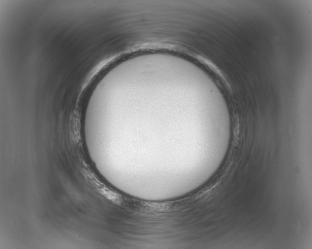 X0000080700878200612150834