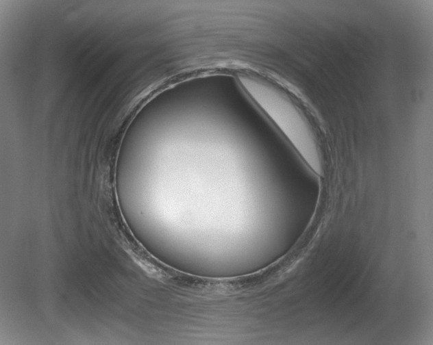 X0000080700881200612150834