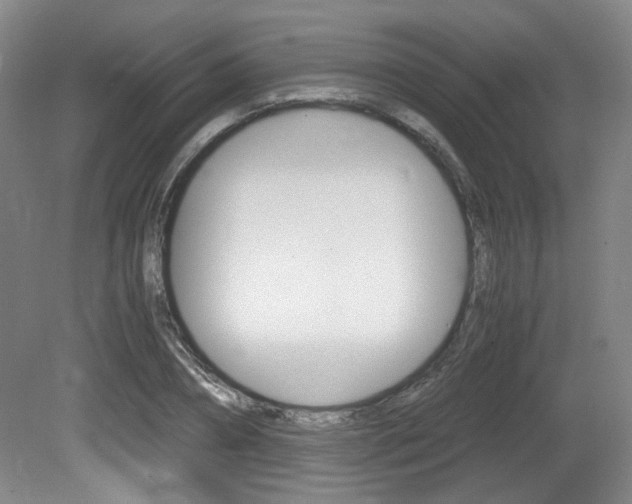 X0000080700882200612150834