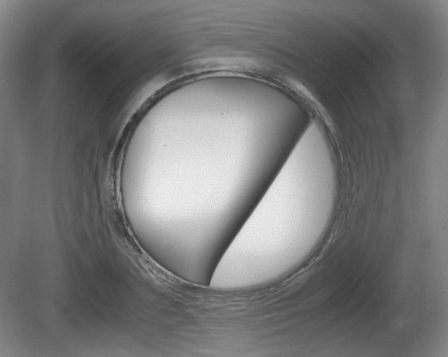 X0000080700883200612150834
