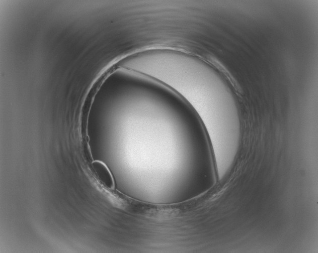 X0000080700884200612150834