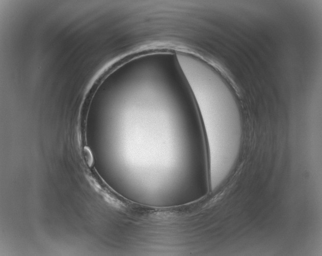 X0000080700888200612150834