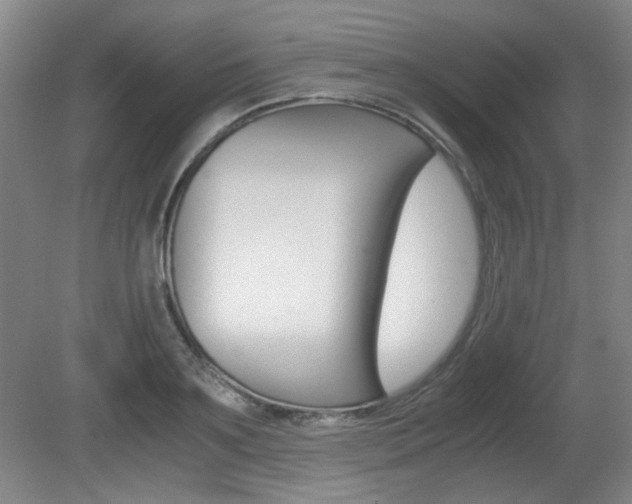 X0000080700891200612150834