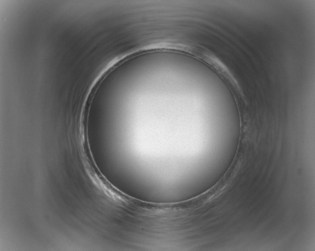 X0000080700892200612150834