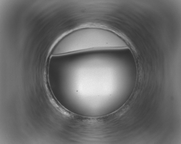 X0000080700896200612150834