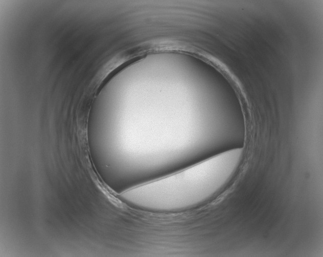 X0000080700897200612150834