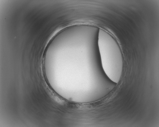 X0000080700899200612150833